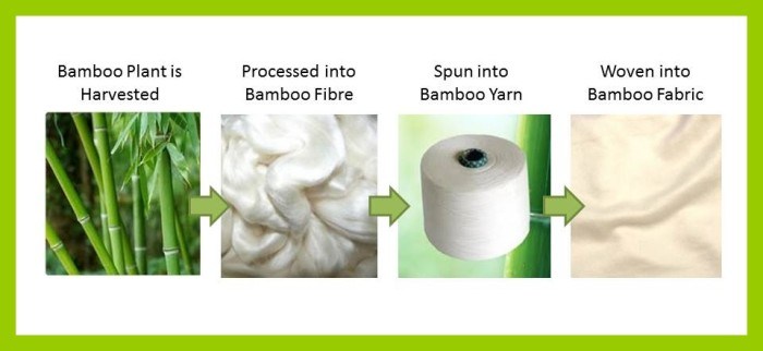 Is Bamboo Clothing Better Than Cotton?